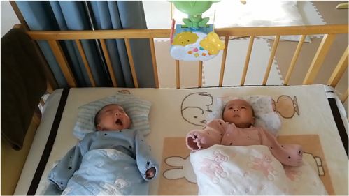 清晨的温馨剧场 蓝衣宝宝的浮夸表情秀